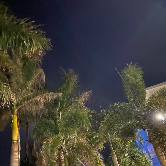 chrissy - Picture 1 of 1